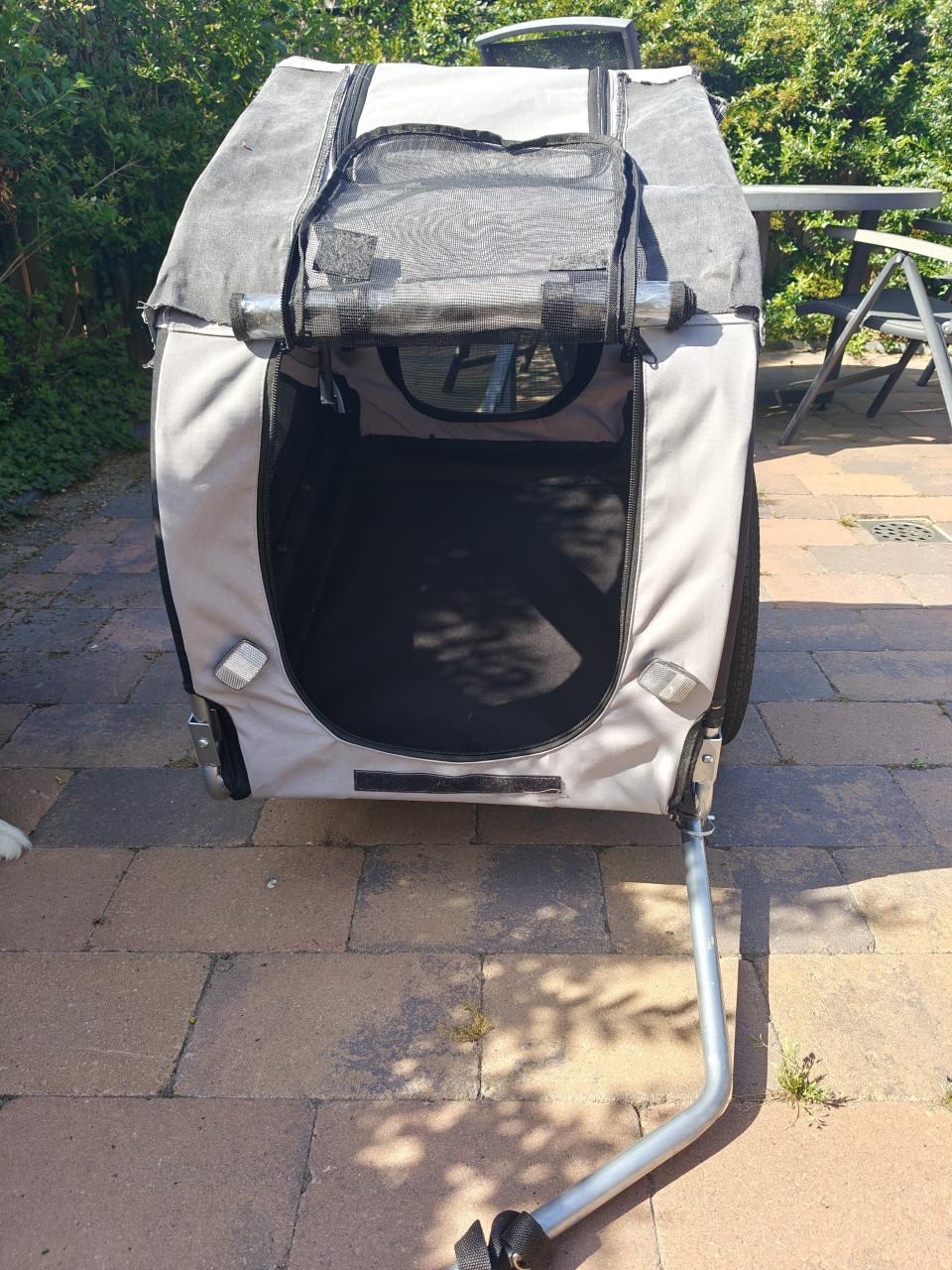 Fietskar hond