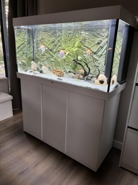 Juwel Rio 350 aquariumset – compleet