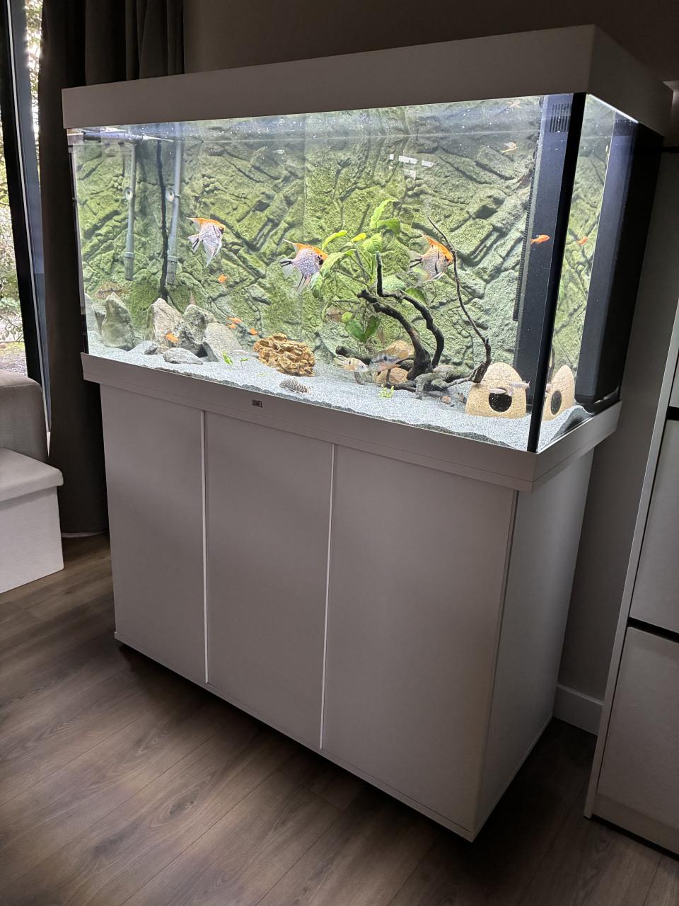 Juwel Rio 350 aquariumset – compleet