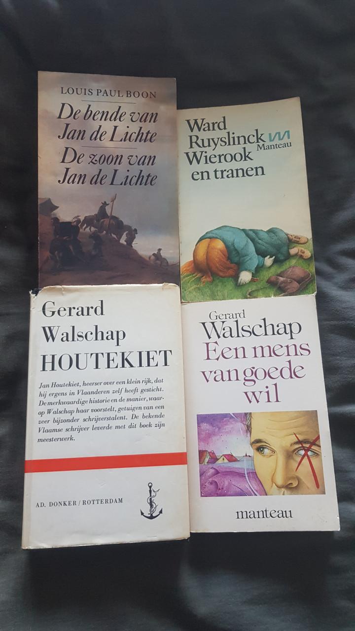 Nederlandse en Vlaamse romans