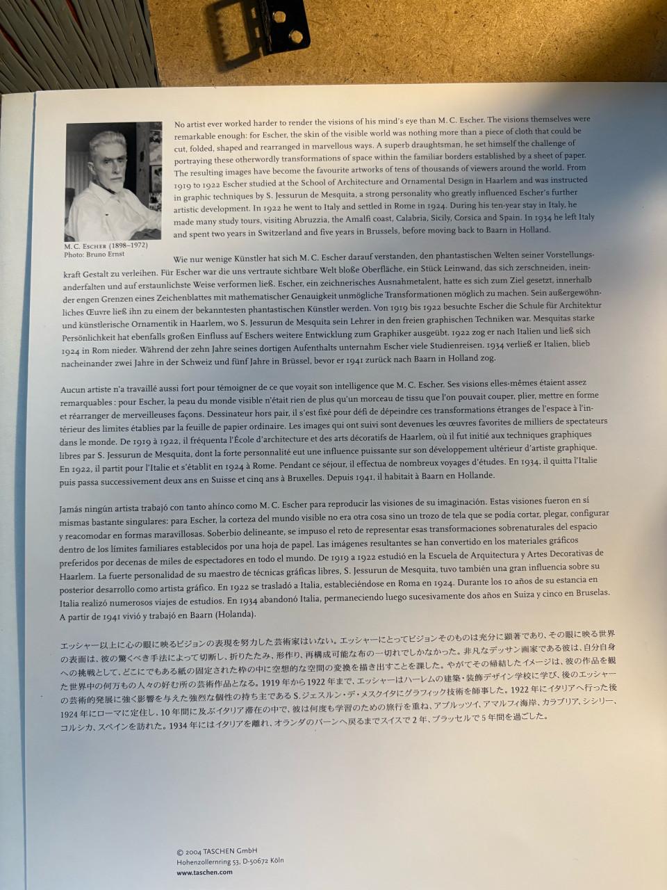 M.C. Escher ,,Klimmen en Dalen,,