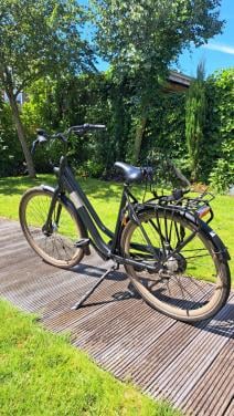 Gazelle Esprit Black mat mt 54