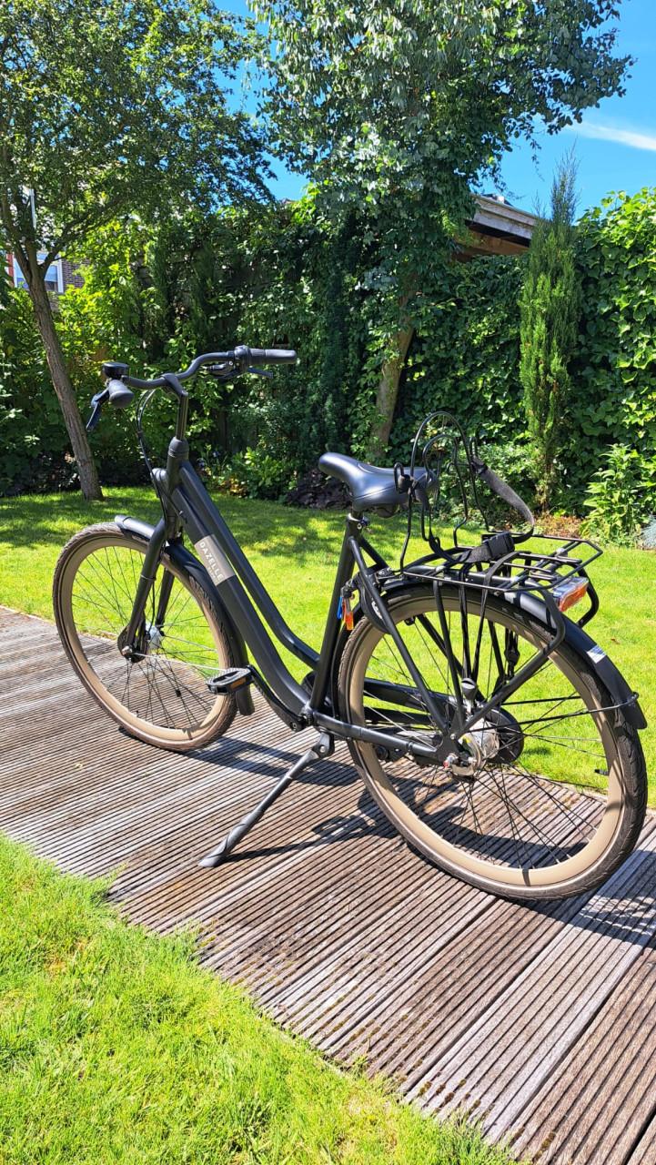 Gazelle Esprit Black mat mt 54