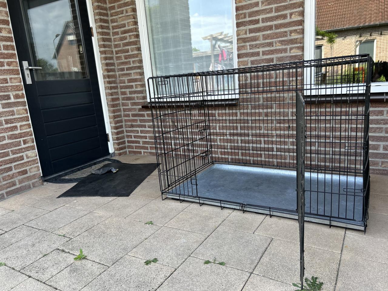 Bench grote hond