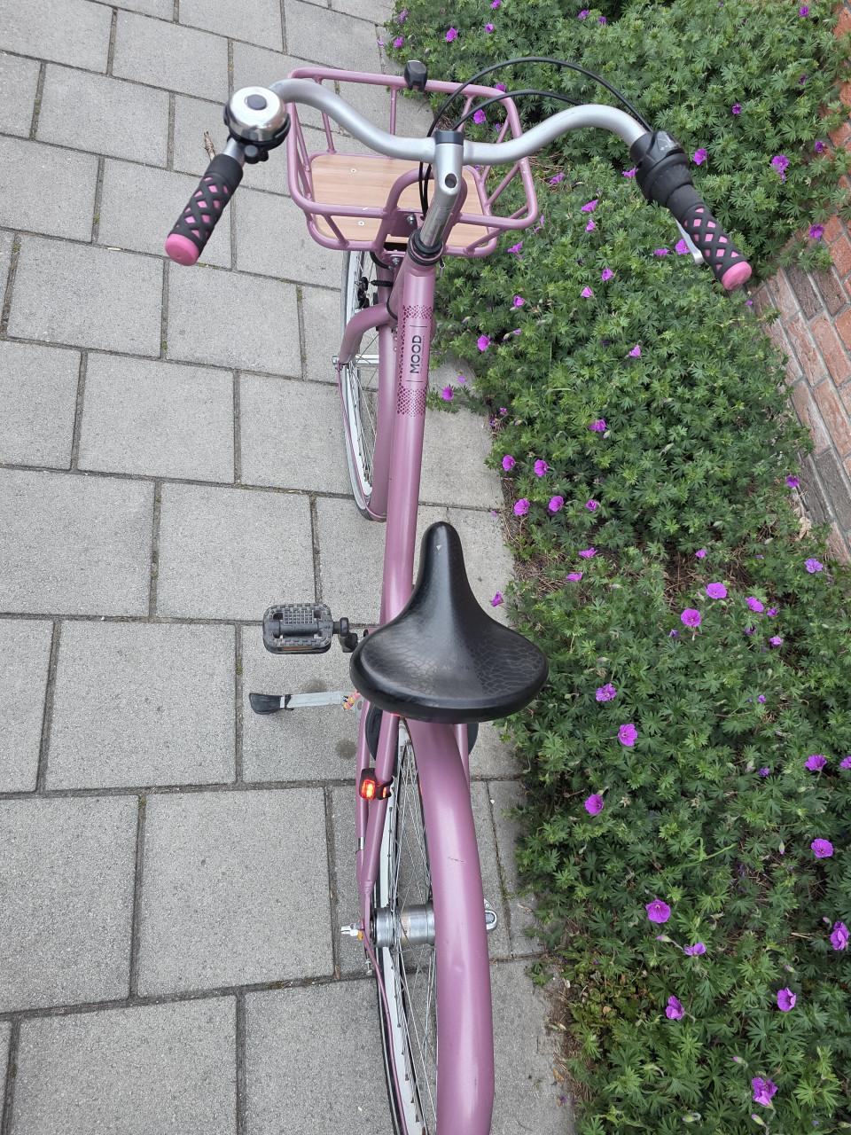 ALPINA | MOOD | 24 INCH | 38 CM | NEXUS 3 | NETTE STAAT!