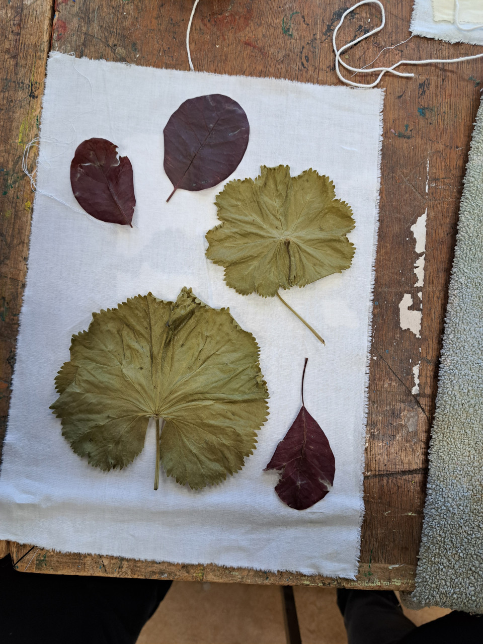 Workshop Ecoprinten 28 oktober 11.00-15.00 uur