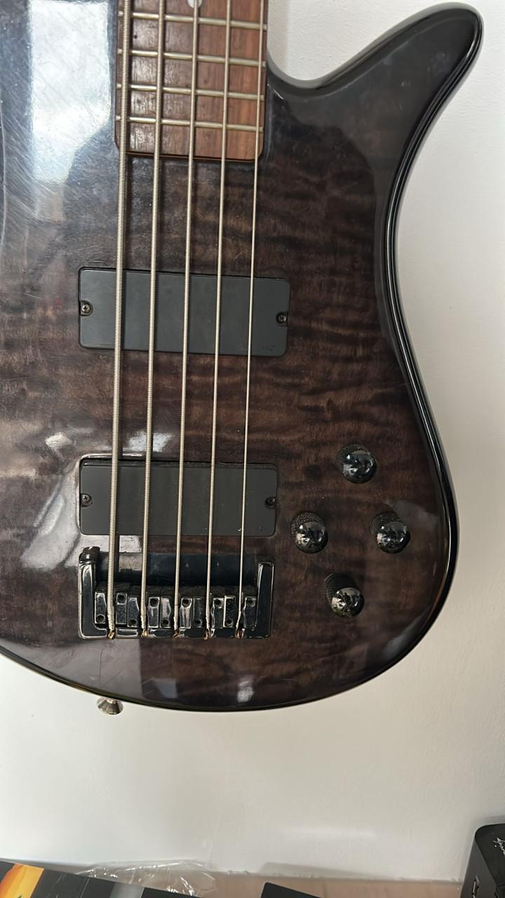 Spector Precision 5 string basgitaar