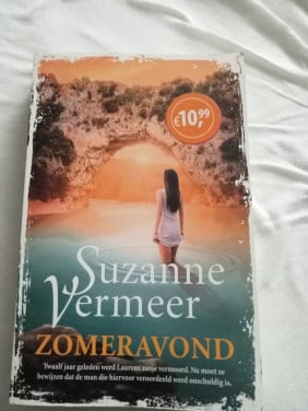 Lees boek Suzanne Vermeer