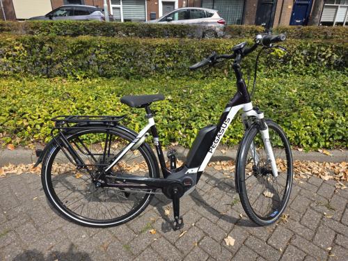 Schitterende Pegasus met Bosch Performance middenmotor en 500wh accu