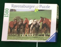 Ravensburger puzzel 1500 stukjes