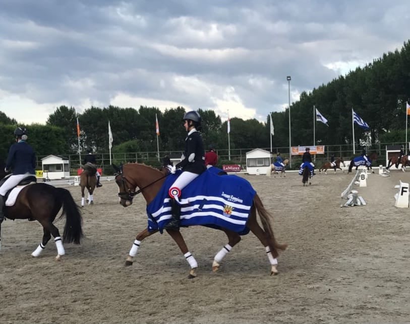 Recreatie/fokmerrie D-pony