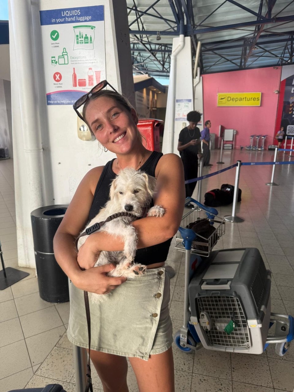 Gastgezinnen voor honden gezocht