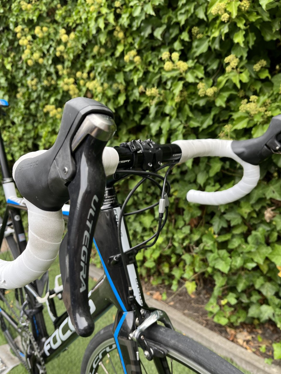 Focus Cayo 6.0 Racefiets - Ultegra - Maat XL60