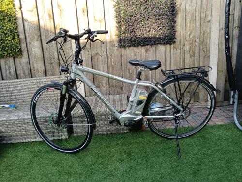 Electrische herenfiets