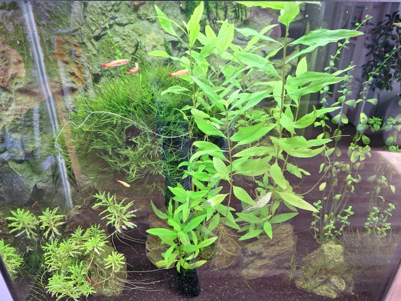 GERESERVEERD Aquarium Juwel Lido 120