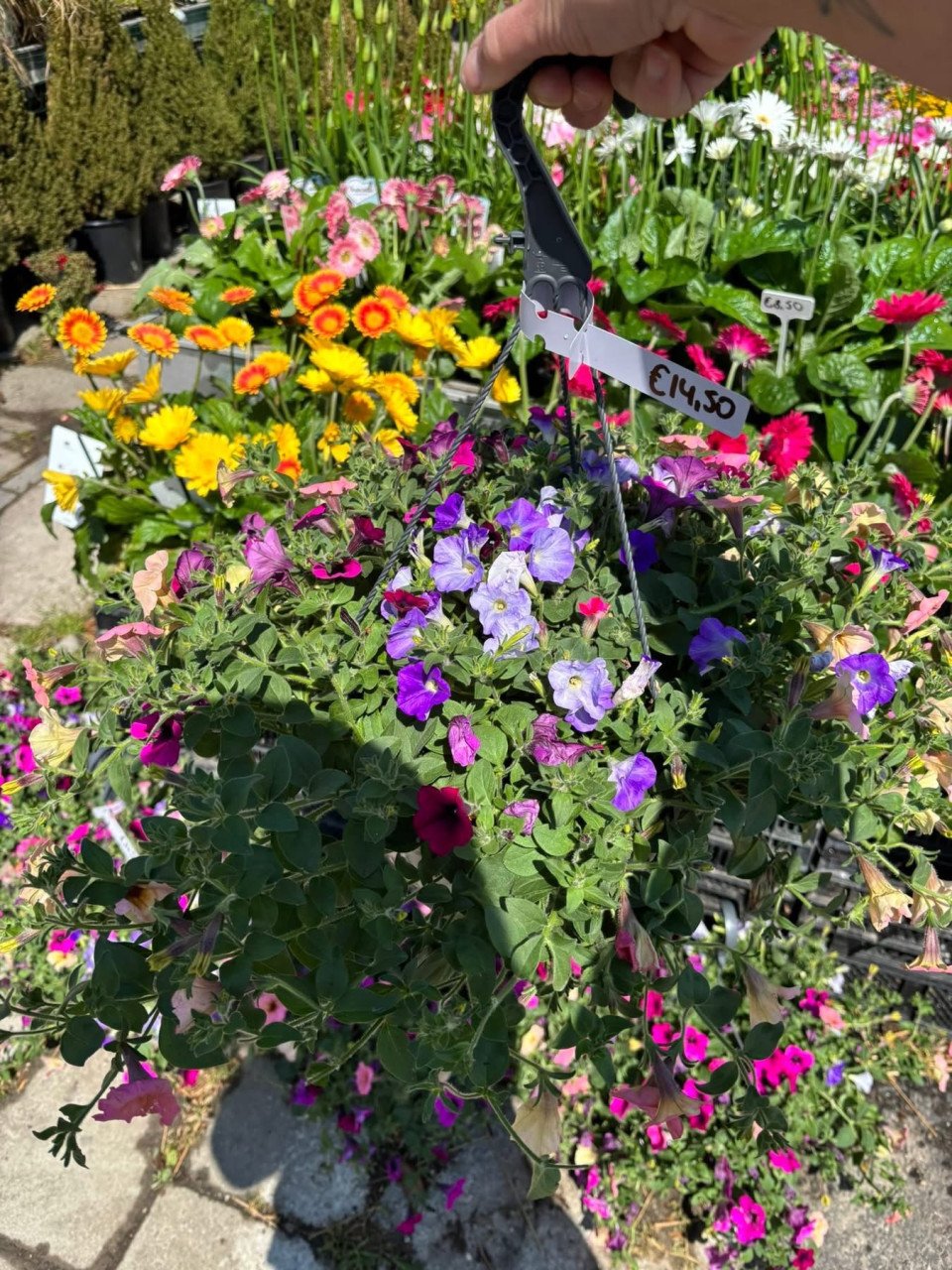 PLANTENKWEKERIJ ‘t GROENE LAND- Moederdagcadeaus