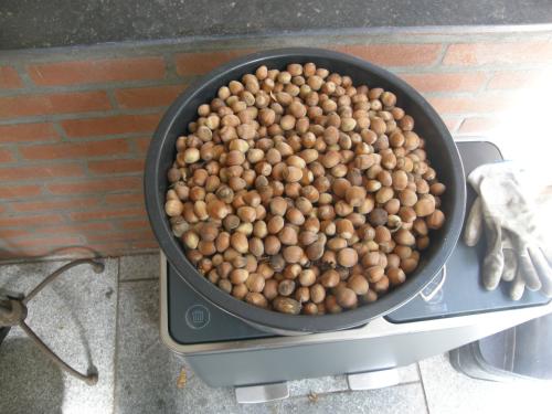 Verse biologische hazelnoten 2026