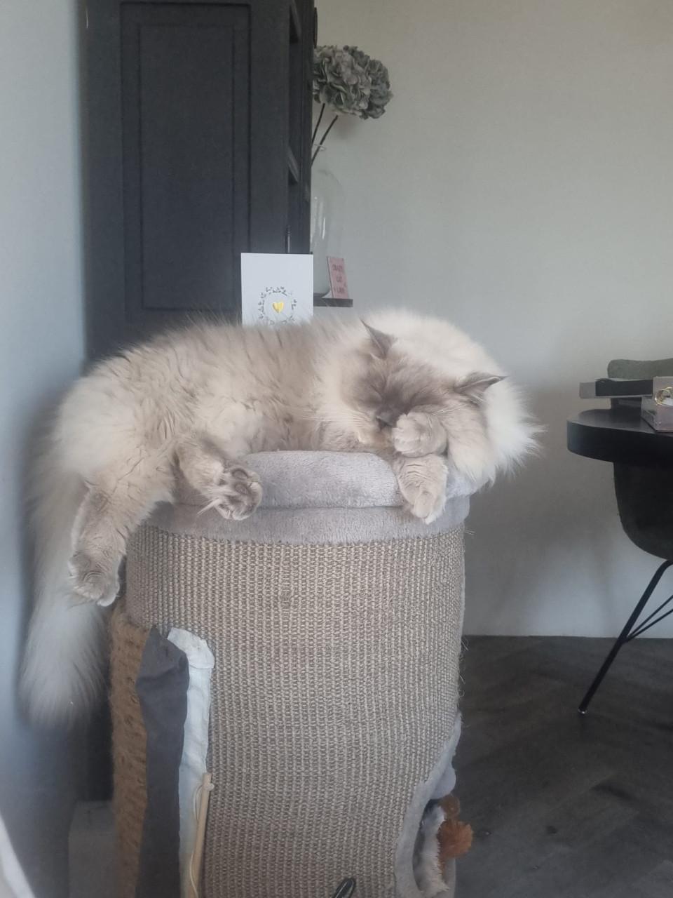 Ted is op zoek naar personeel