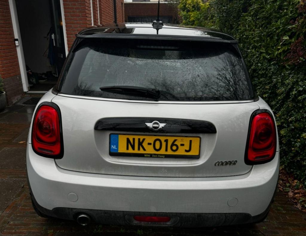 Mini Cooper mini 1.5 chili business | met panorama dak! |