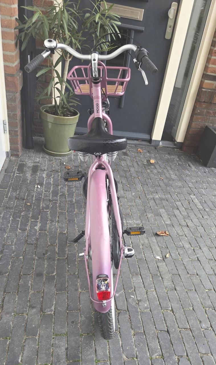 Meisjesfiets 24 inch ALPINA MOOD