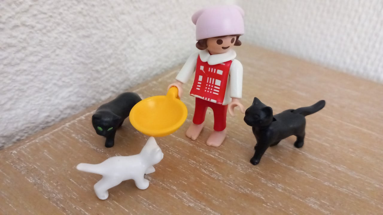 Playmobil meisje met poesjes