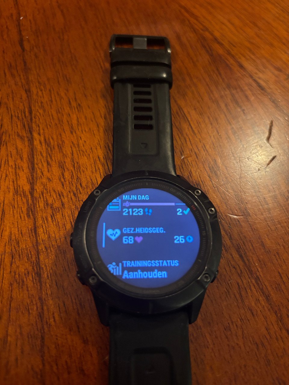 Garmin fenix 6x Sapphire editie