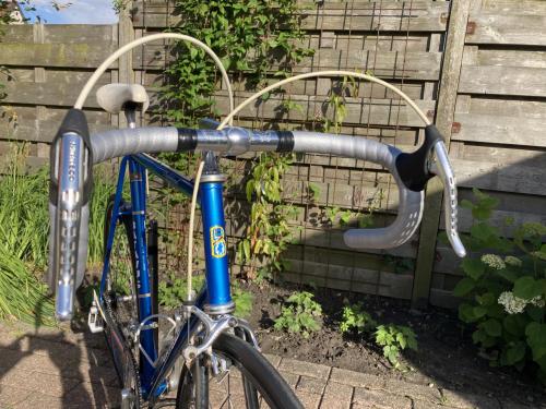 Batavus Professional