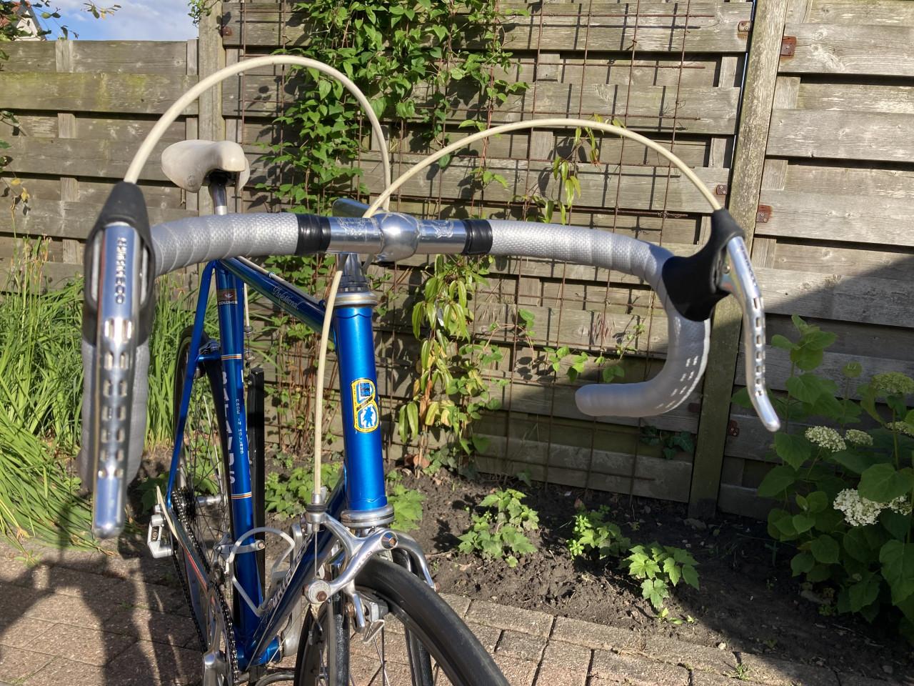 Batavus Professional