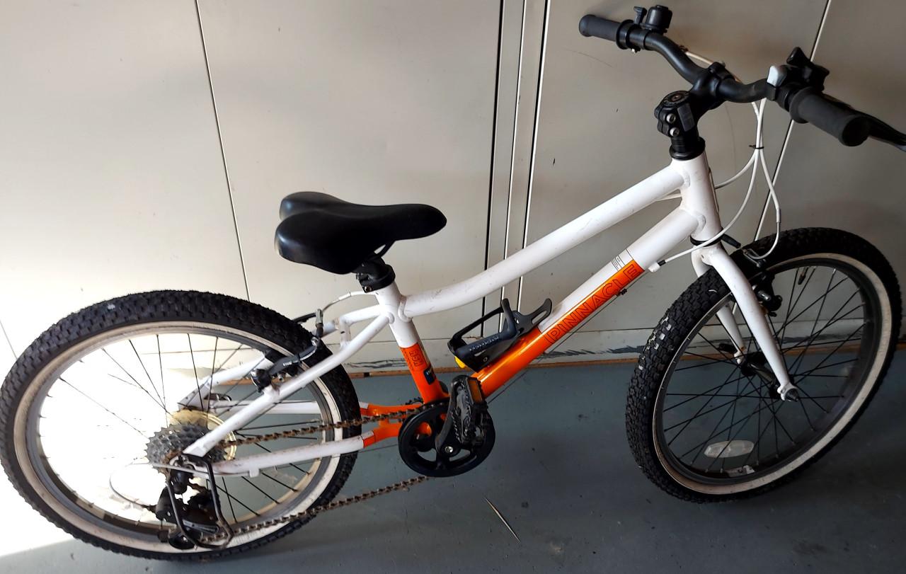 Pinnacle met 20 "wielen.. Heel mooie en goede fiets
