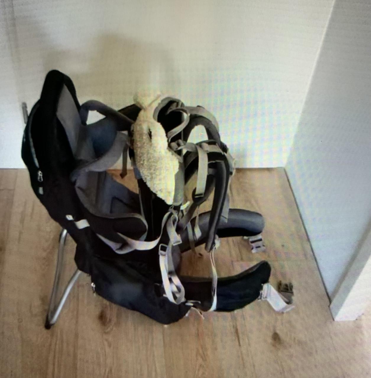 Vaude kinderdrager/rug