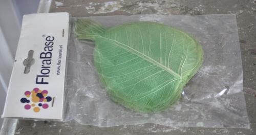 Nieuw in verpakking scalet lvs green blaadjes