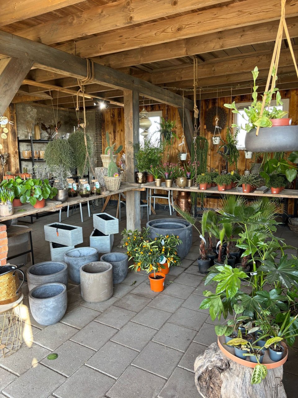 PLANTENKWEKERIJ ‘t GROENE LAND