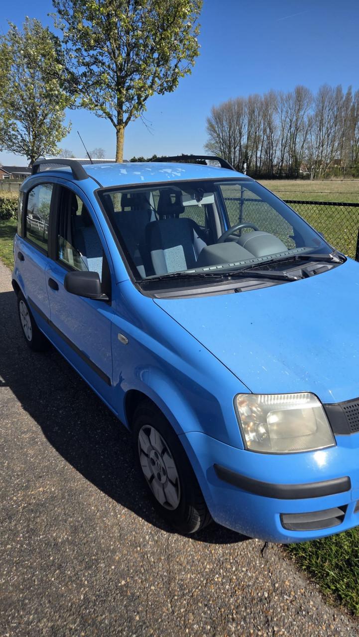 Fiat panda