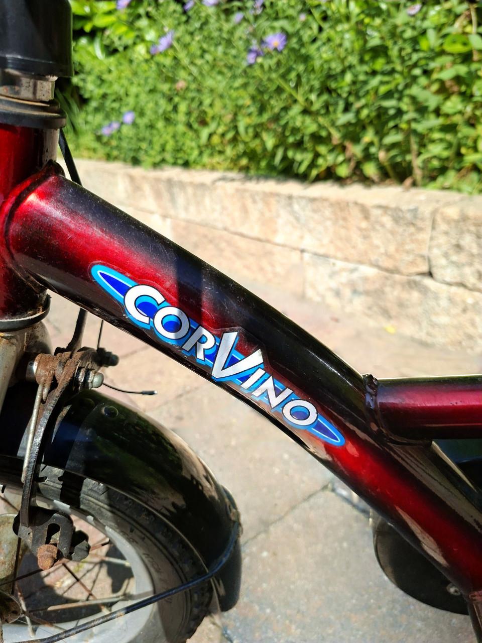 Kinderfietsje Corvino 2-4 jaar