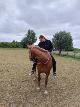 Super lieve d pony.