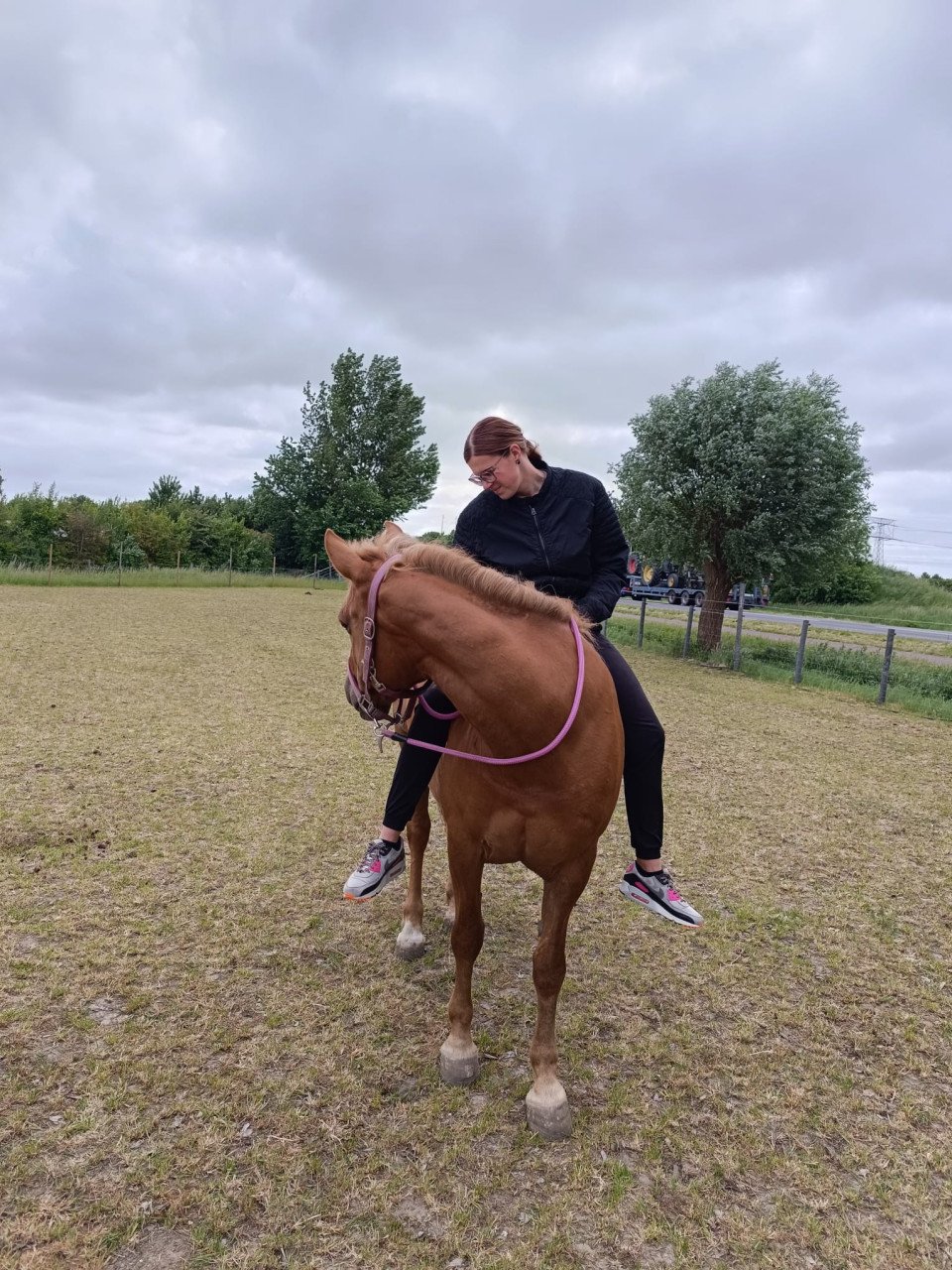 Super lieve d pony.
