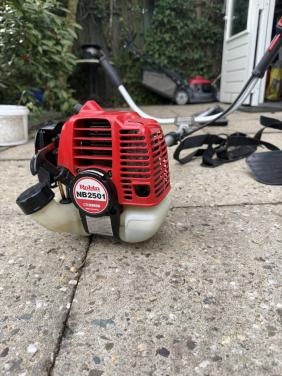 Bosmaaier Robin Japanse top kwaliteit