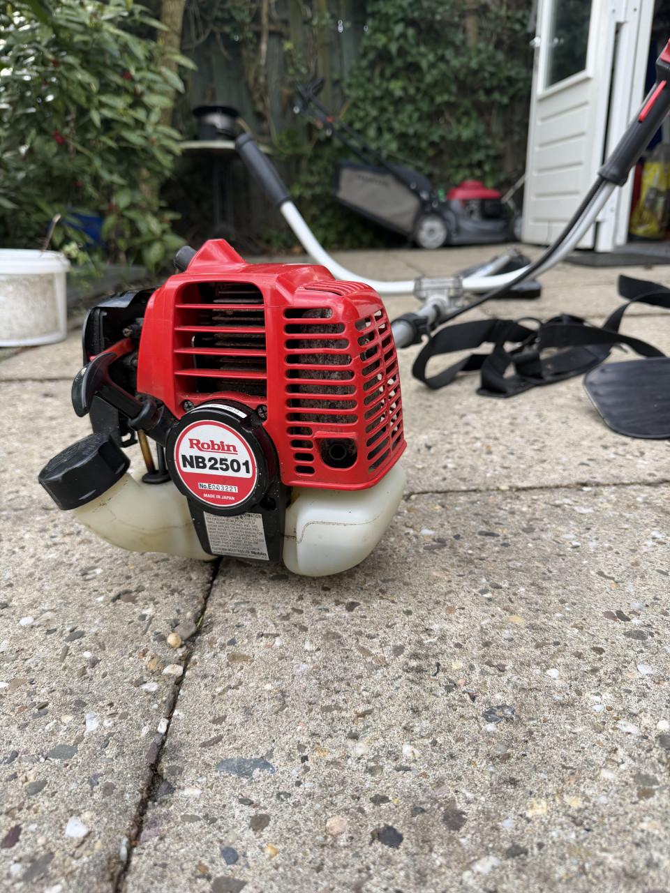 Bosmaaier Robin Japanse top kwaliteit