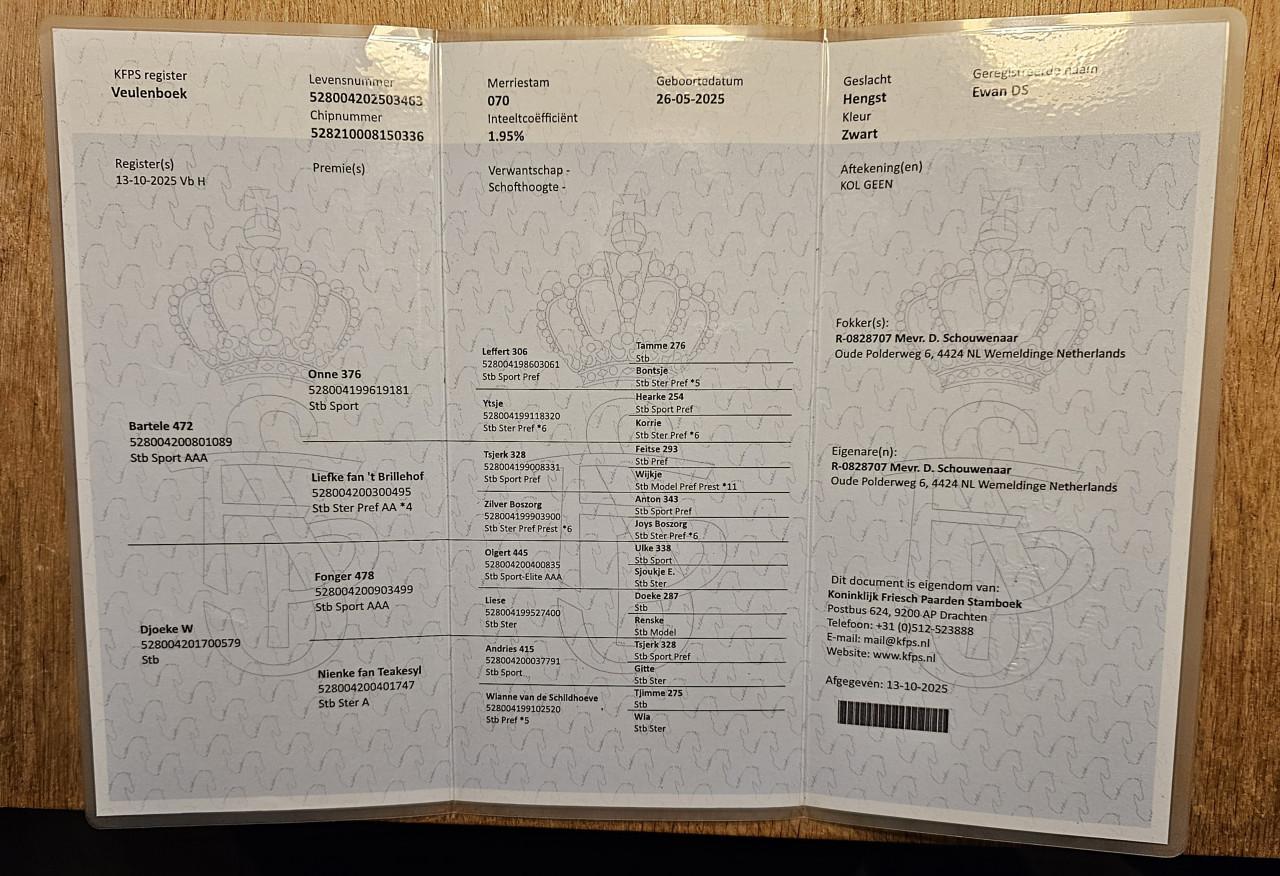 Knap Fries hengstveulen