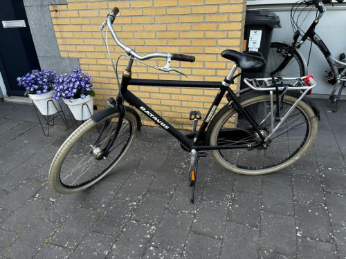 Herenfiets Batavus