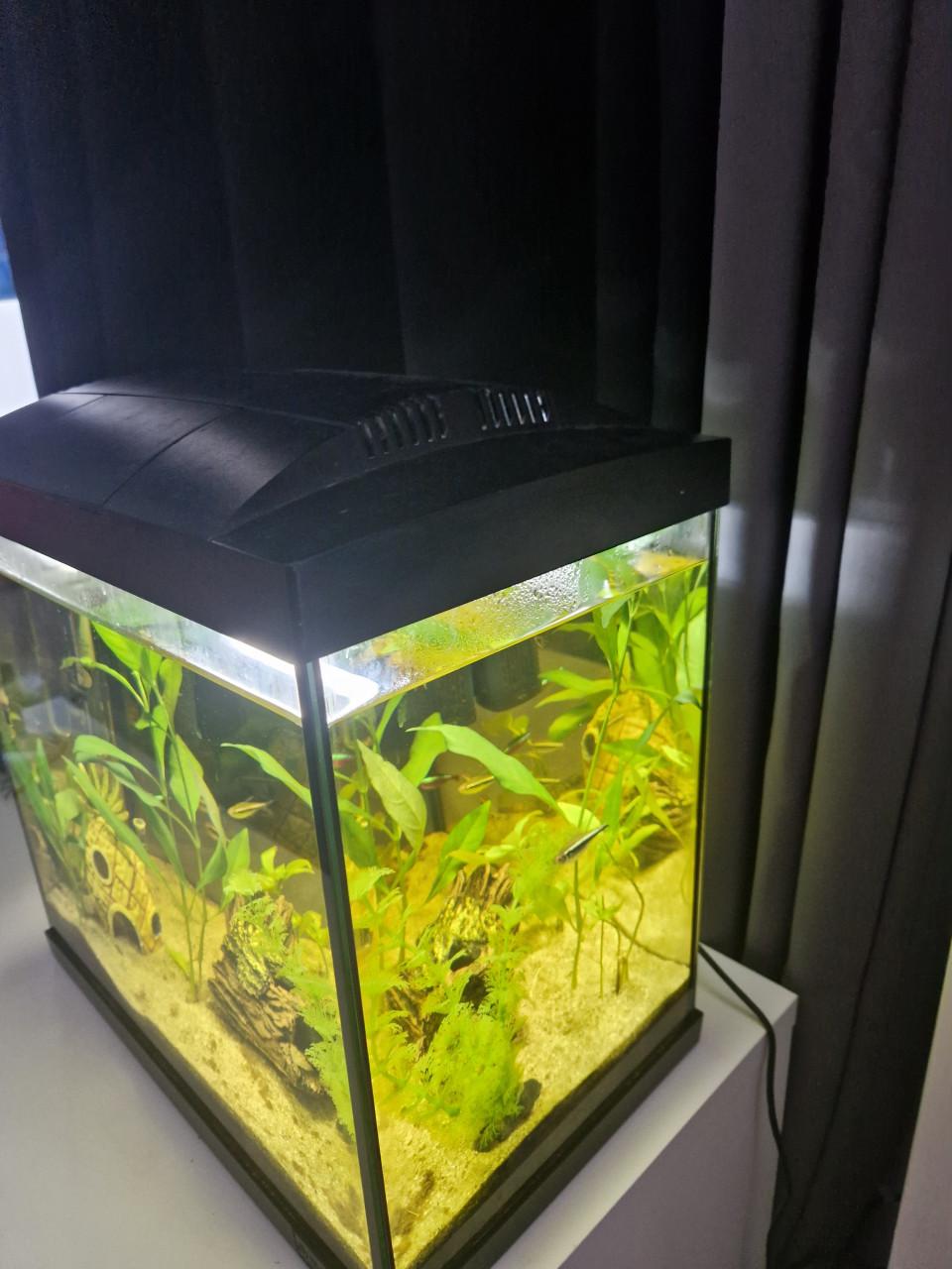 Aquarium startkit