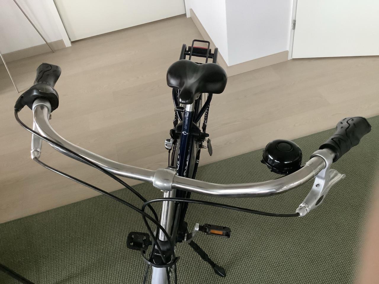 Keurige Batavus Holiday