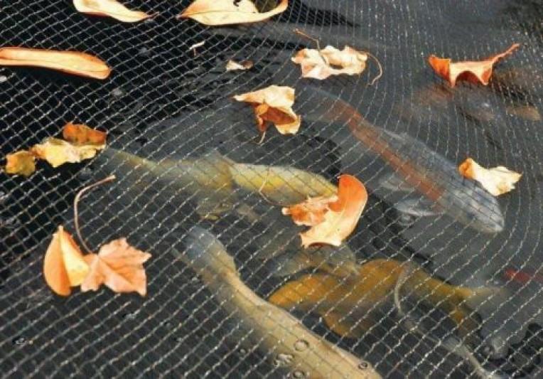 Takazumi NPC 2 kg – Vijverbehandeling voor Koi