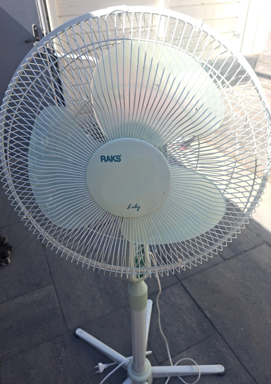 Ventilator