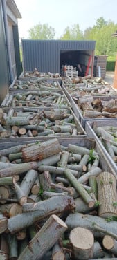 Diverse soorten haardhout