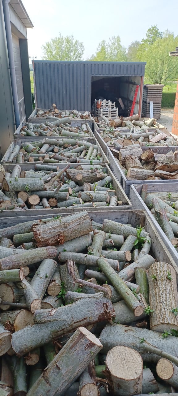 Diverse soorten haardhout