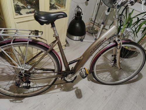 Fiets dames