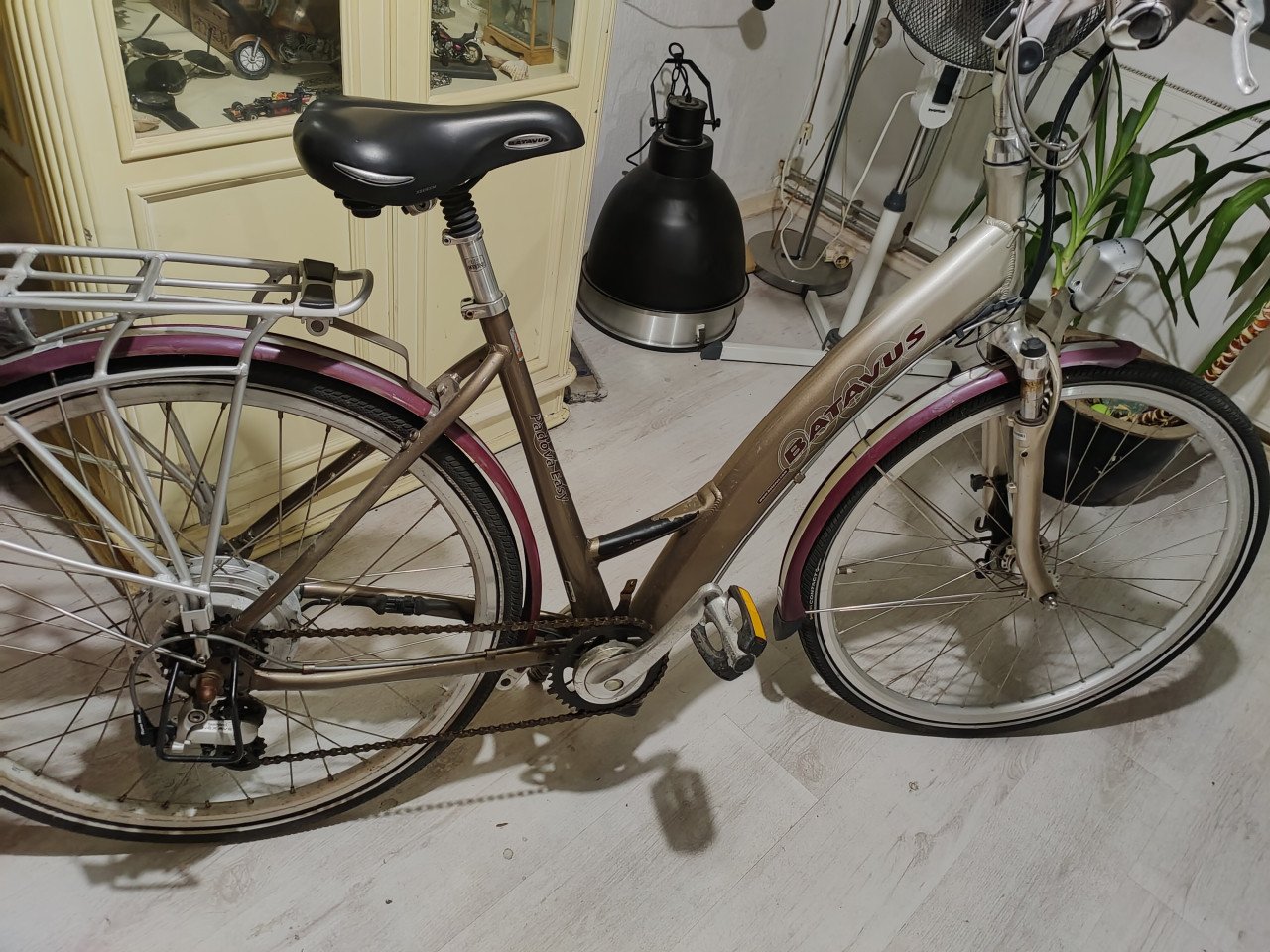 Fiets dames