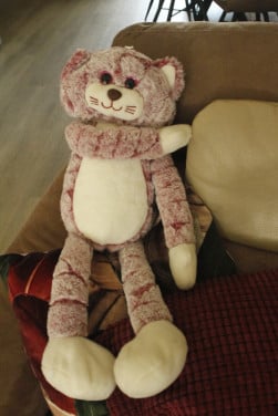 Knuffelpoes
