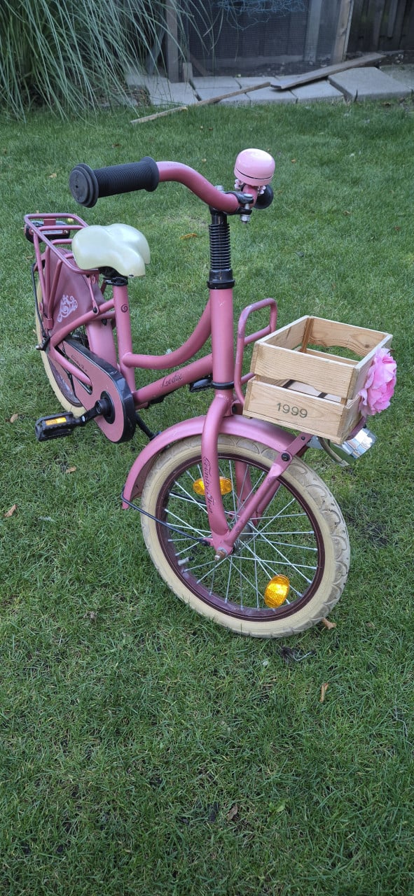 Leuke meisjesfiets Loeki 16"